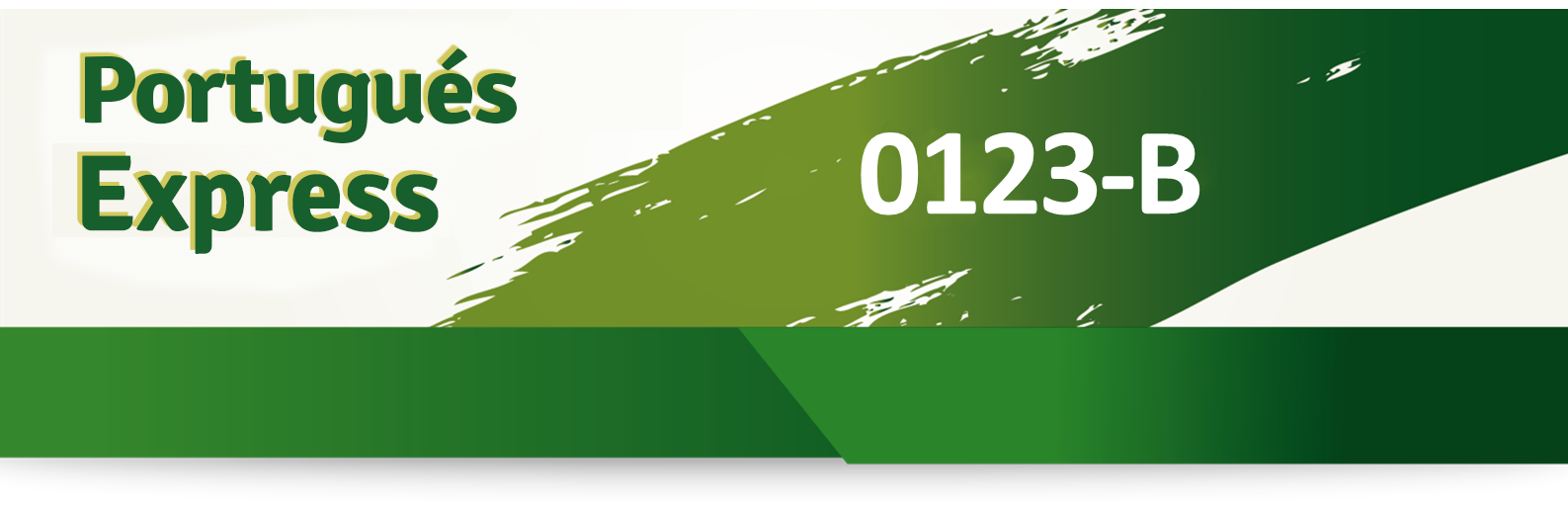 euroidiomas Master Express euroidiomas